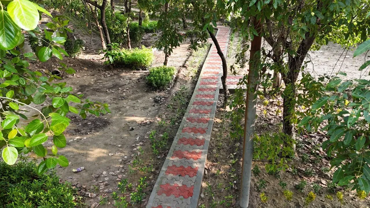 Corporate Campus Greening